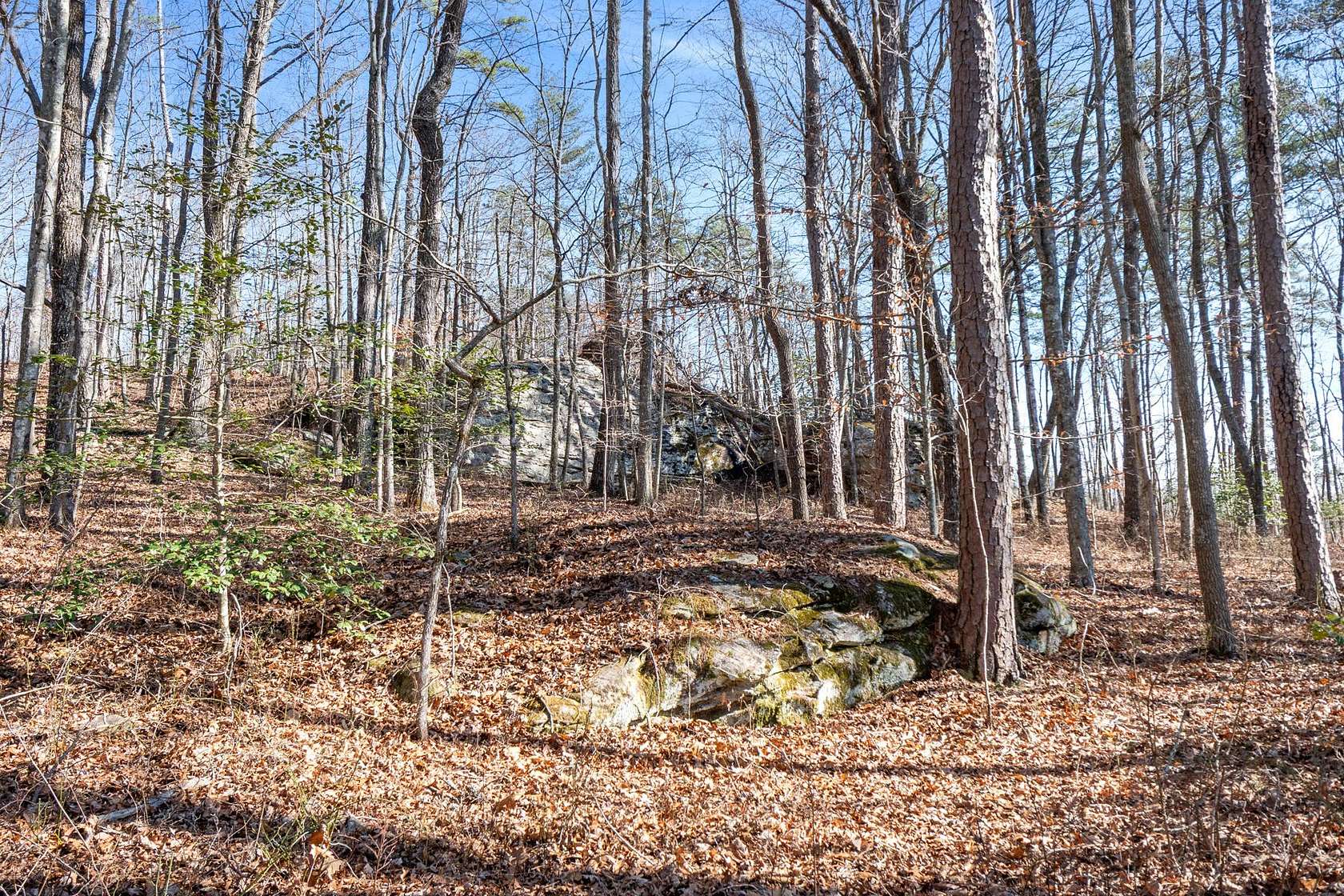 4.64 Acres of Residential Land for Sale in Dunlap, Tennessee