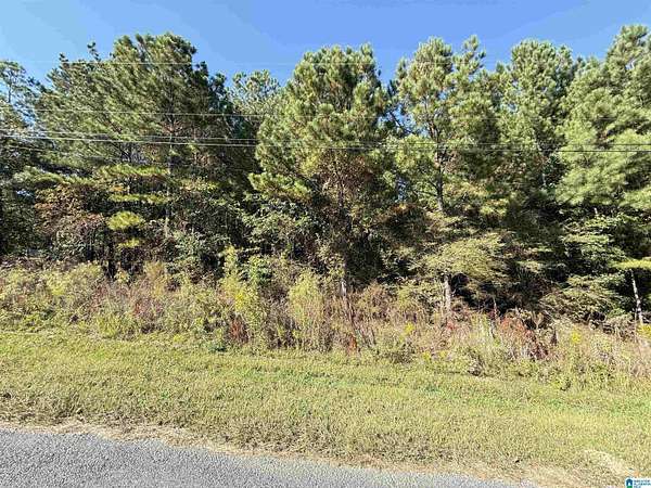0.54 Acres of Residential Land for Sale in Odenville, Alabama
