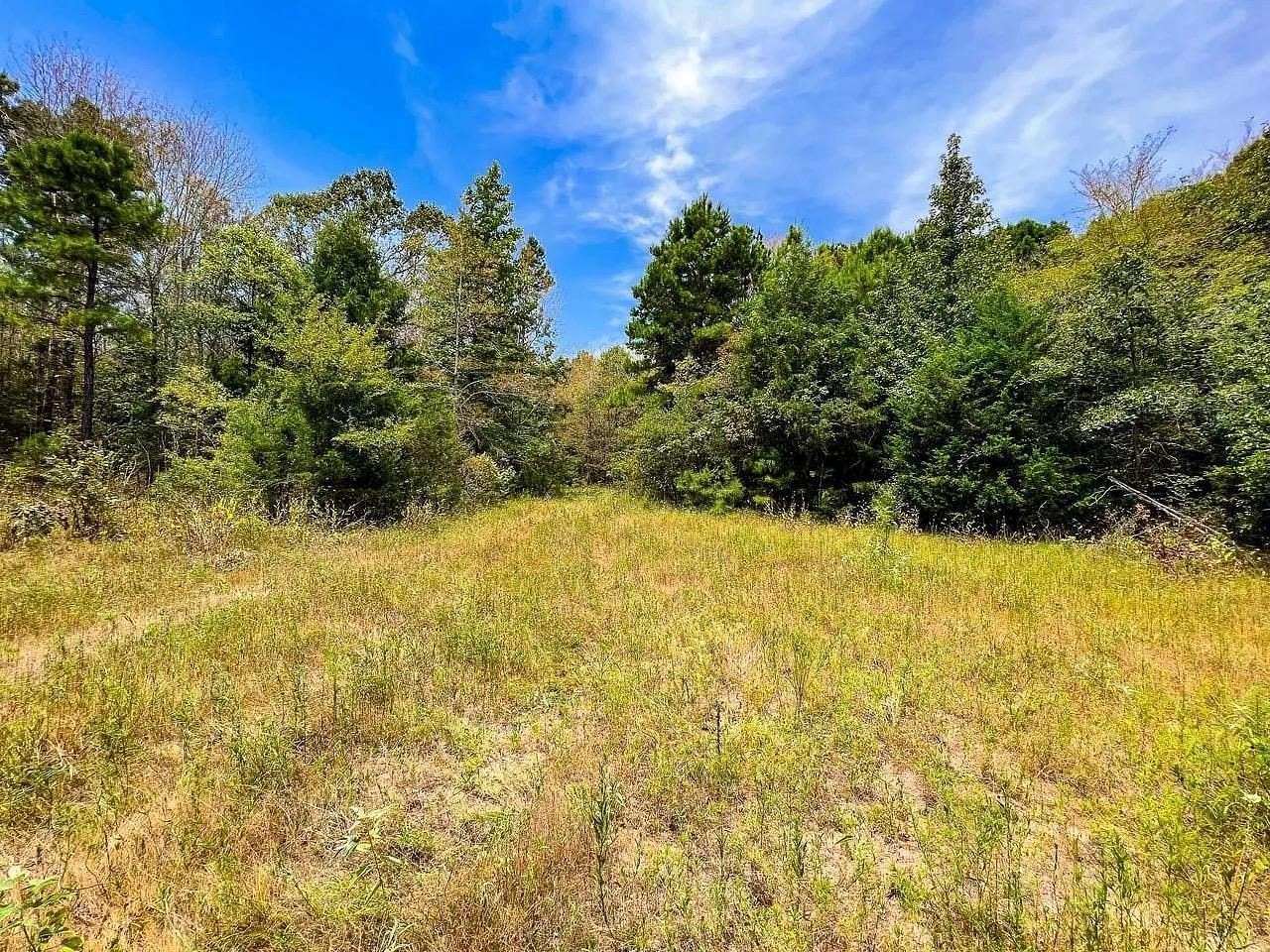 20 Acres of Recreational & Residential Land for Sale in Troup, Texas