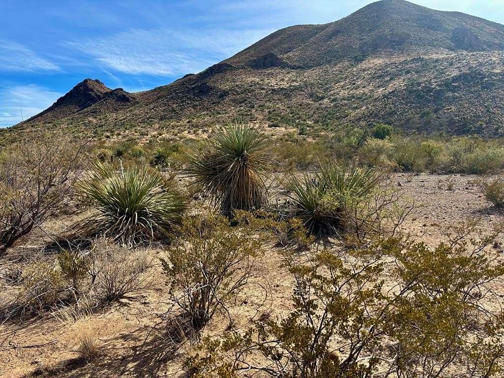 67.5 Acres of Land for Sale in Terlingua, Texas