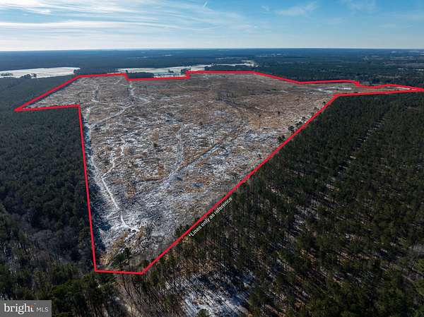 293 Acres of Recreational Land for Sale in Westover, Maryland