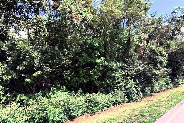 0.25 Acres of Residential Land for Sale in Columbus, Ohio