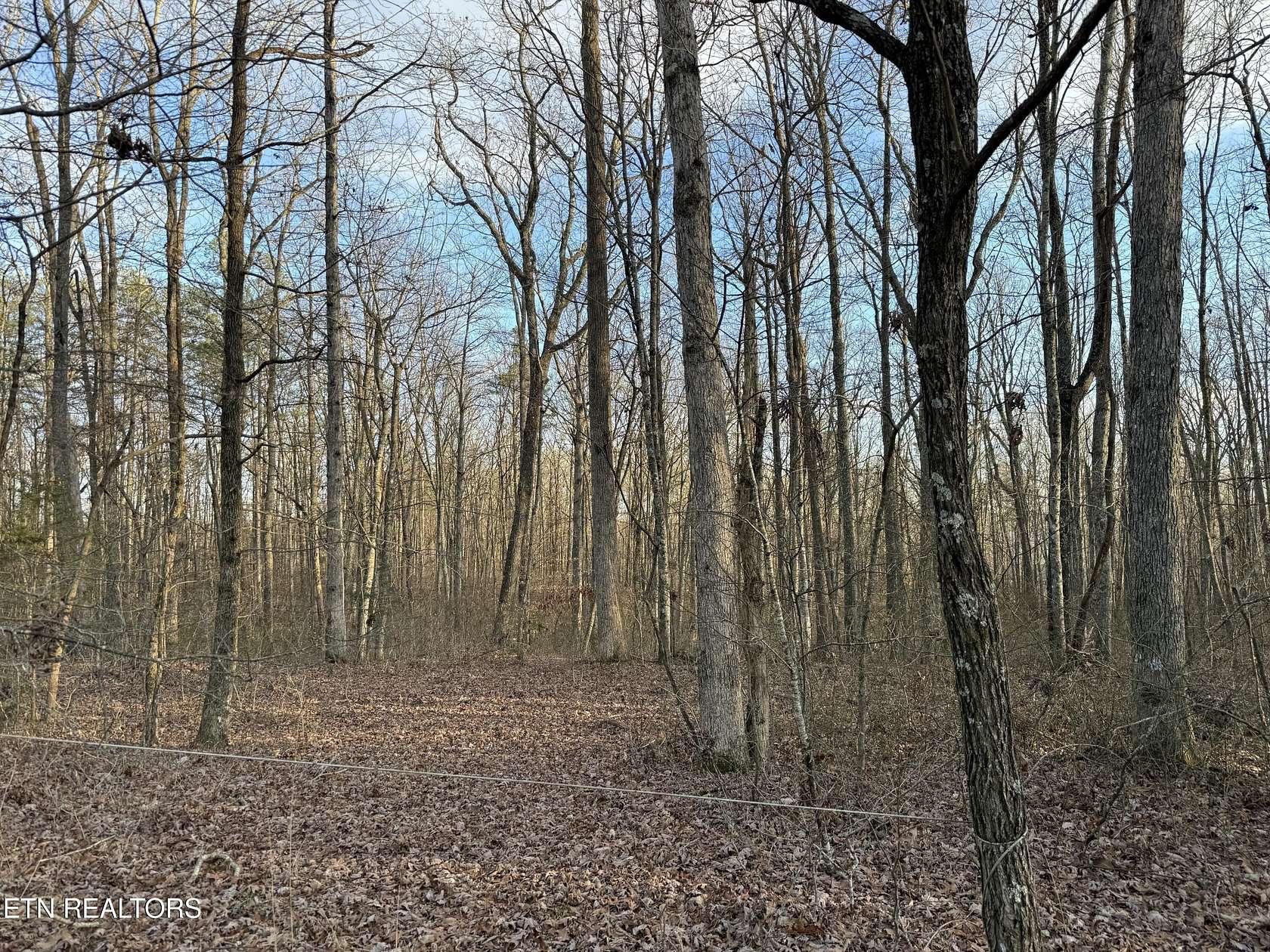 4 Acres of Residential Land for Sale in Monterey, Tennessee