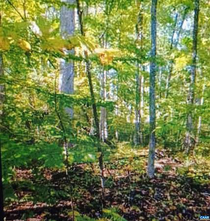 0.25 Acres of Residential Land for Sale in Louisa, Virginia