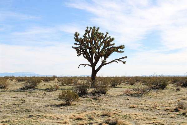 9.15 Acres of Residential Land for Sale in Phelan, California