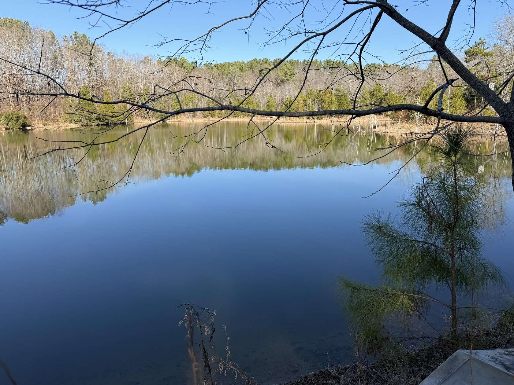 105 Acres of Recreational Land for Sale in Ripley, Mississippi