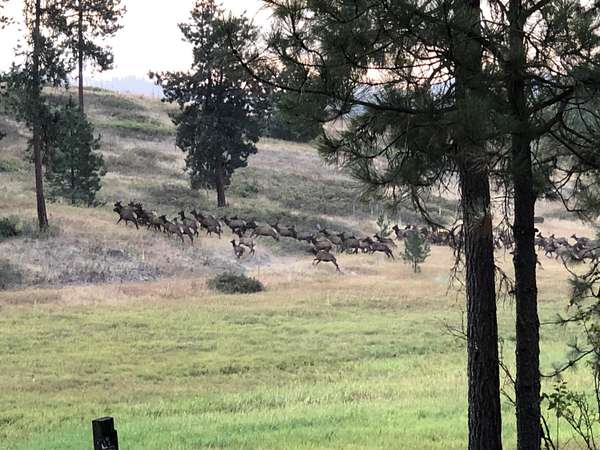 57.4 Acres of Recreational Land for Sale in Valley, Washington