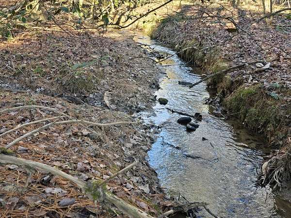 92.5 Acres of Recreational Land for Sale in Murphy, North Carolina