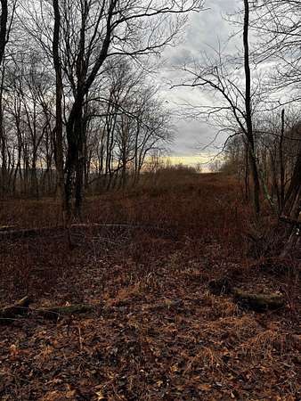 72 Acres of Recreational Land & Farm for Sale in Albright, West Virginia