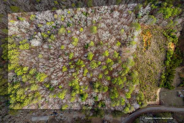 7.72 Acres of Land for Sale in Blacksburg, South Carolina