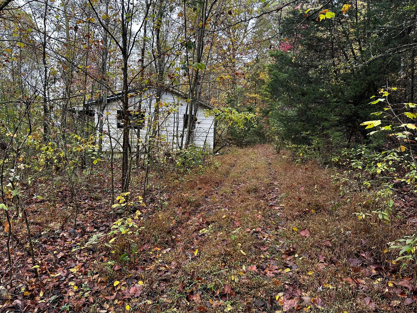 5.1 Acres of Land for Sale in Monticello, Kentucky