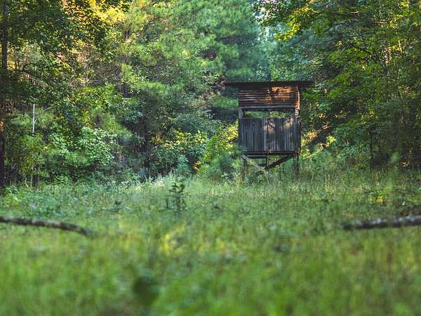 1,194 Acres of Recreational Land for Sale in Braxton, Mississippi