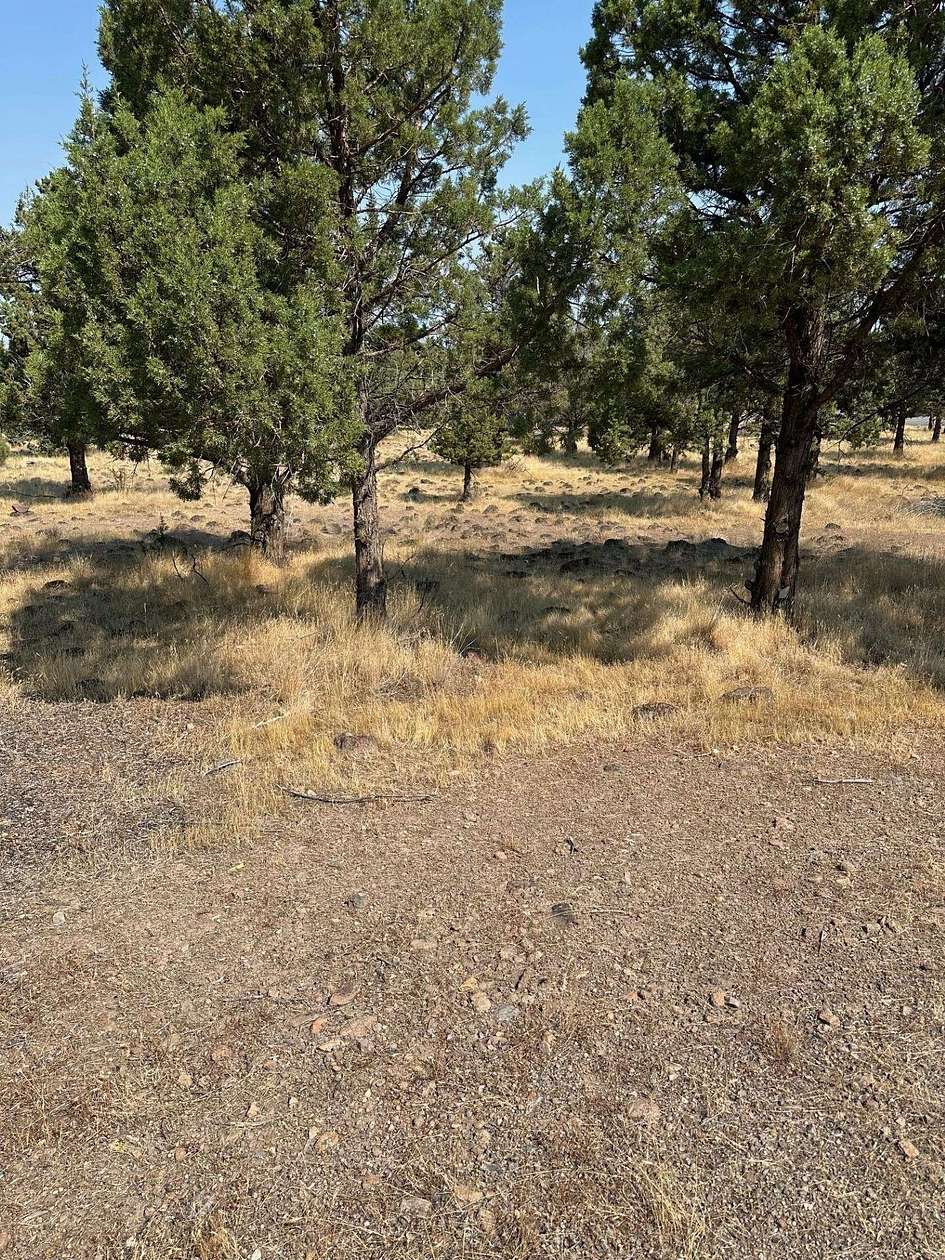 0.31 Acres of Residential Land for Sale in Weed, California