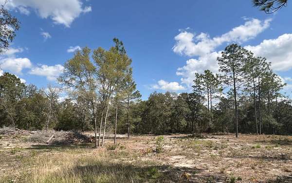 0.88 Acres of Residential Land for Sale in Williston, Florida