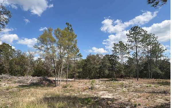 0.88 Acres of Residential Land for Sale in Williston, Florida