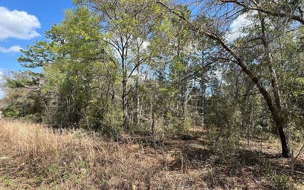 0.92 Acres of Residential Land for Sale in Williston, Florida