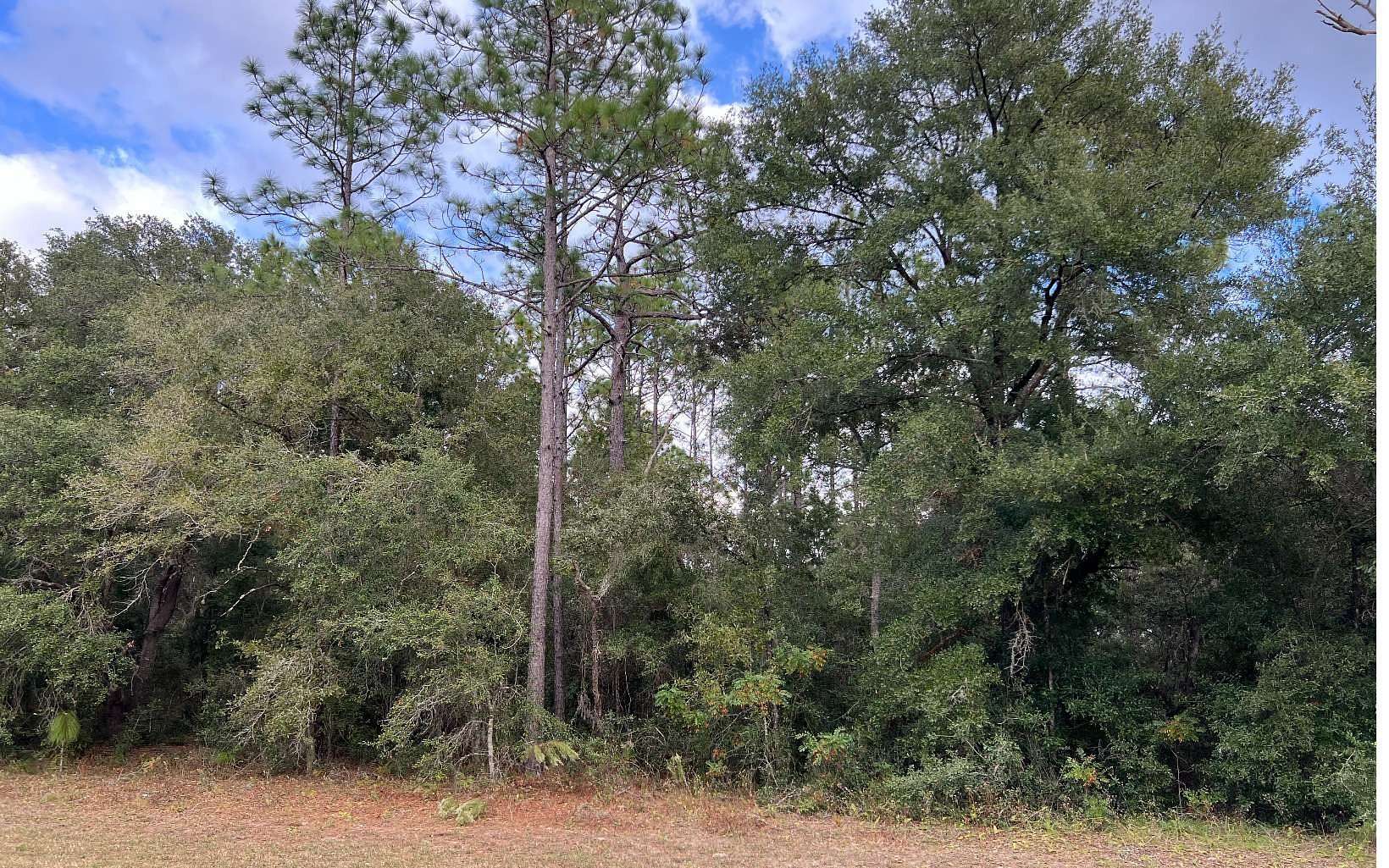 1.25 Acres of Residential Land for Sale in Citrus Springs, Florida