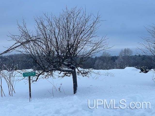 40 Acres of Land for Sale in Calumet, Michigan