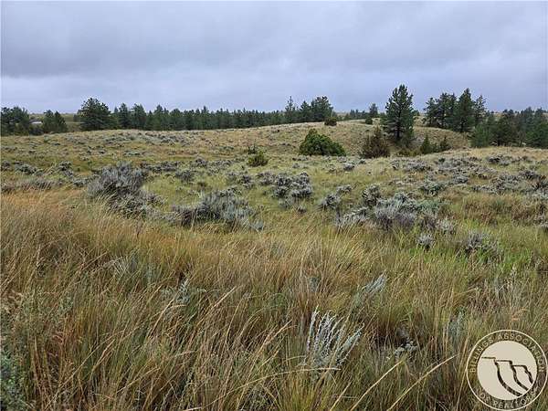 20 Acres of Land for Sale in Molt, Montana