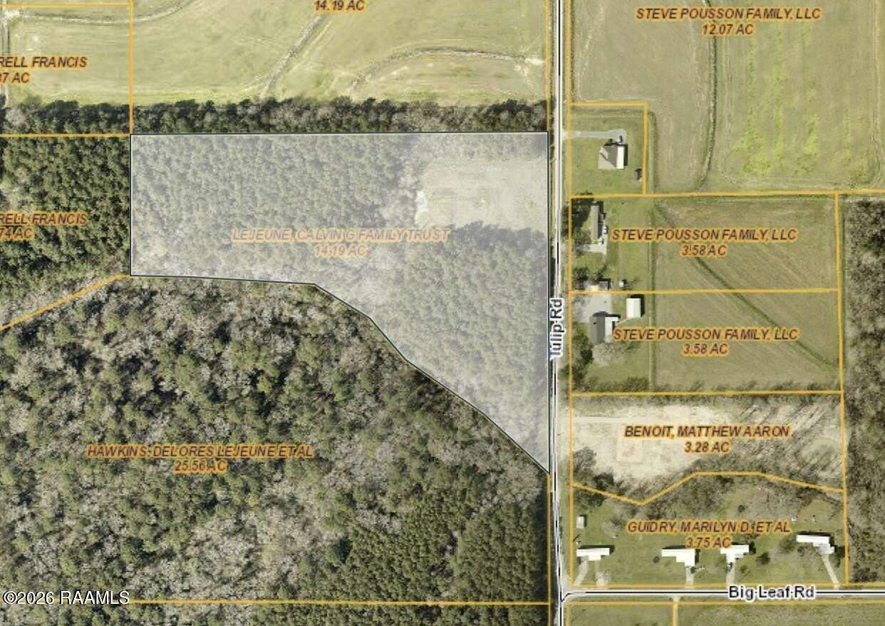 14.2 Acres of Recreational & Residential Land for Sale in Iota, Louisiana