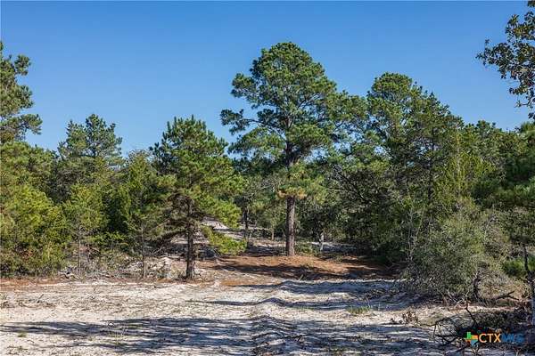 164 Acres of Recreational Land & Farm for Sale in Dale, Texas