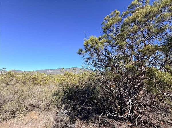 5 Acres of Residential Land for Sale in Anza, California
