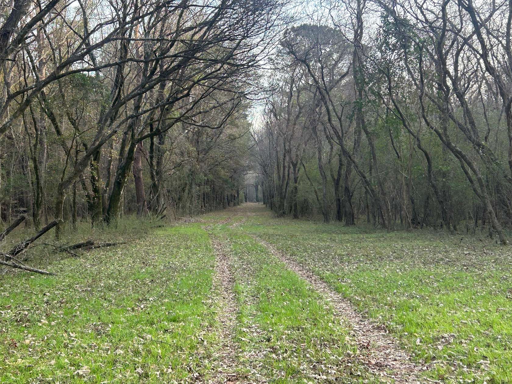 63 Acres of Land for Sale in Coosada, Alabama
