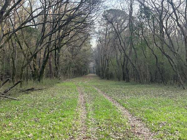 63 Acres of Land for Sale in Coosada, Alabama