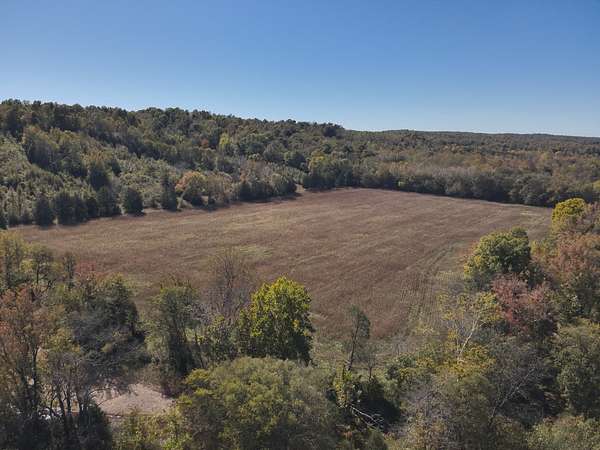 88.5 Acres of Agricultural Land for Sale in Linden, Tennessee