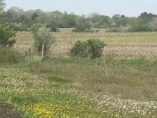 2.59 Acres of Residential Land for Sale in Monee, Illinois