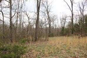 1.17 Acres of Residential Land for Sale in Omaha, Arkansas