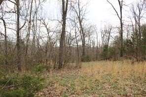 1.17 Acres of Residential Land for Sale in Omaha, Arkansas