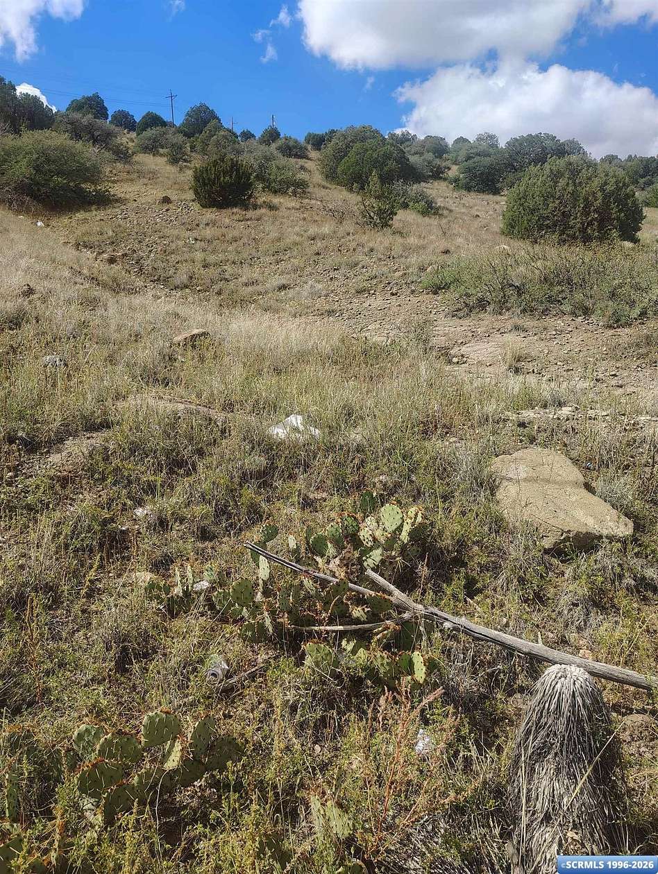 1.23 Acres of Residential Land for Sale in Bayard, New Mexico