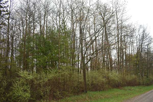 Land for Sale in Ossineke, Michigan