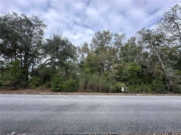 0.99 Acres of Residential Land for Sale in Dunnellon, Florida
