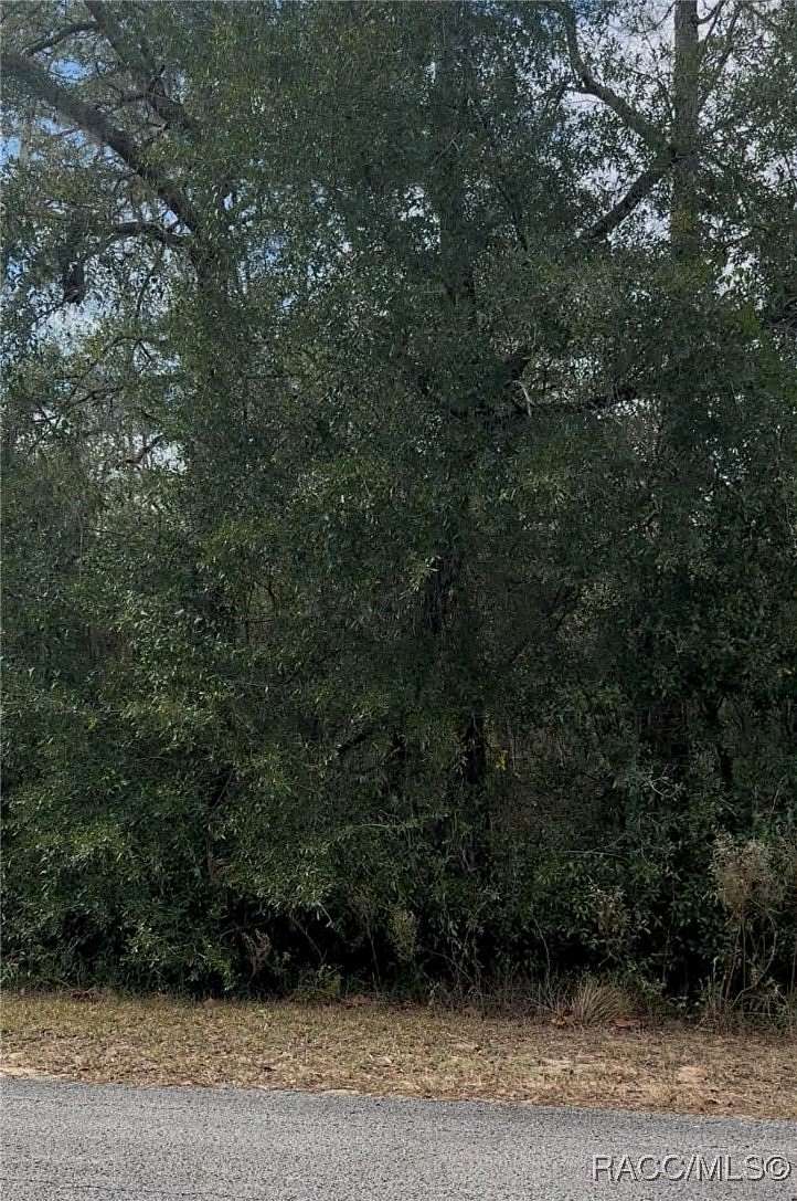 0.99 Acres of Residential Land for Sale in Dunnellon, Florida