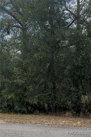 0.99 Acres of Residential Land for Sale in Dunnellon, Florida