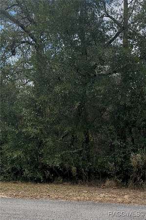 0.99 Acres of Residential Land for Sale in Dunnellon, Florida