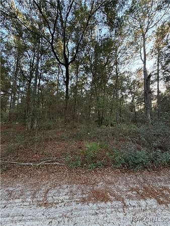 1.25 Acres of Residential Land for Sale in Dunnellon, Florida