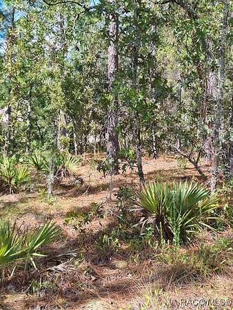 0.8 Acres of Residential Land for Sale in Dunnellon, Florida