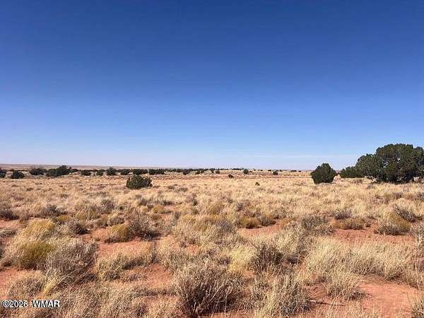 10 Acres of Land for Sale in Snowflake, Arizona