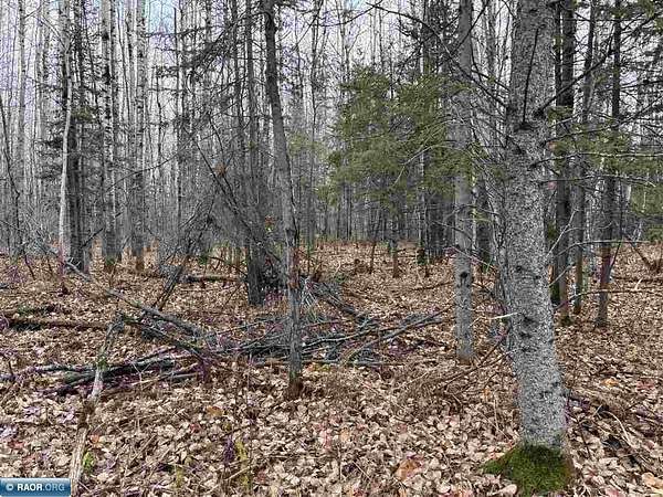 40 Acres of Recreational Land for Sale in Side Lake, Minnesota