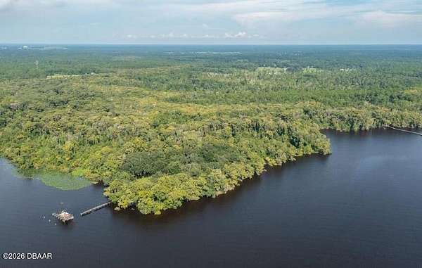 20.6 Acres of Land for Sale in Palatka, Florida