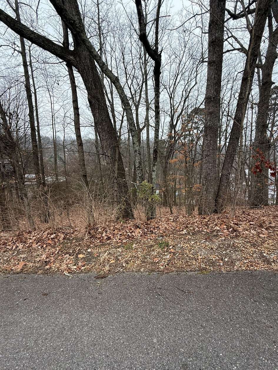 0.52 Acres of Residential Land for Sale in Chattanooga, Tennessee