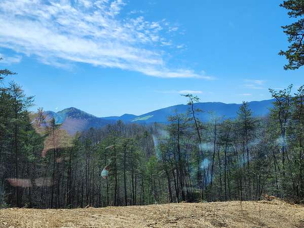 20 Acres of Land for Sale in Elliston, Virginia