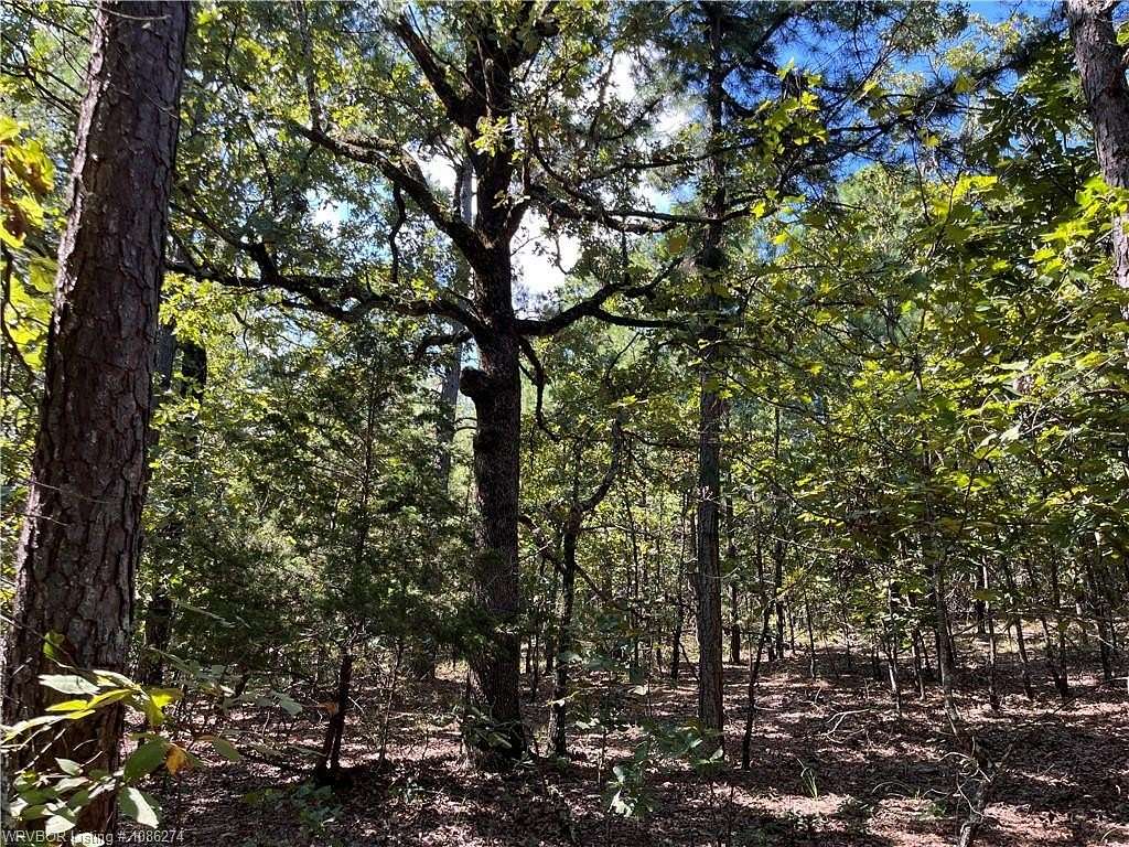 10 Acres of Recreational Land for Sale in Wister, Oklahoma