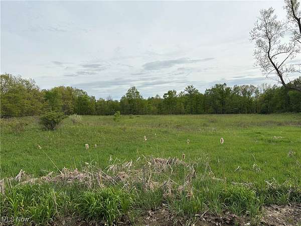 10.3 Acres of Recreational Land for Sale in Jefferson, Ohio