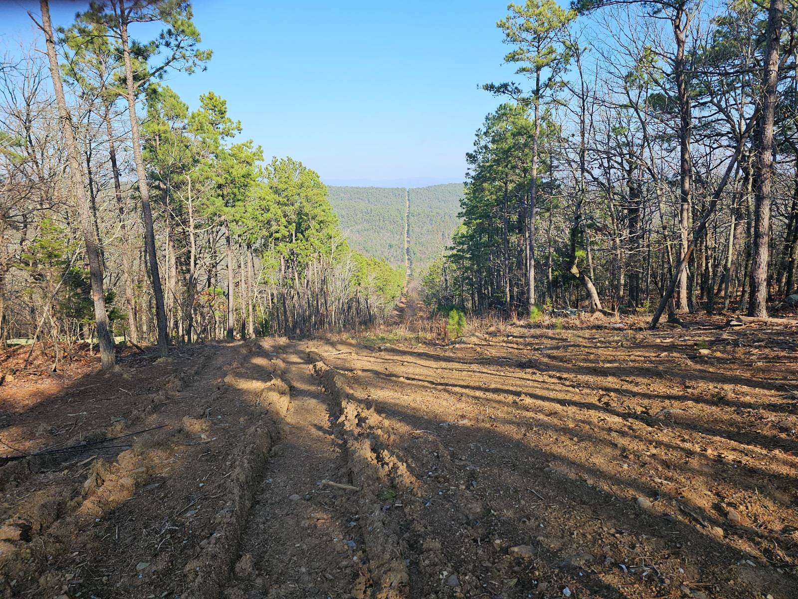 20 Acres of Land for Sale in Talihina, Oklahoma