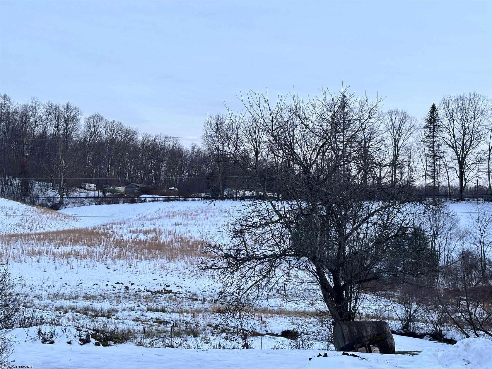 20 Acres of Land for Sale in Montrose, West Virginia