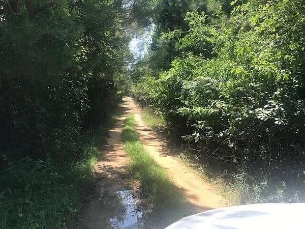 2.5 Acres of Residential Land for Sale in Barnwell, South Carolina